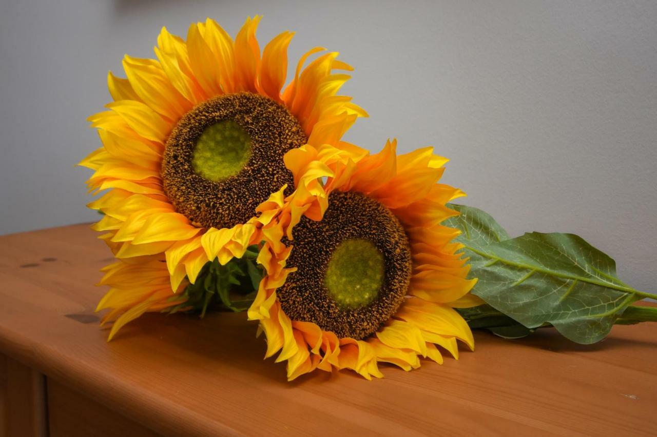 Desenzanoloft Official Partner Marriott Homes & Villas - The Sunflower Front Lake Desenzano del Garda Exteriér fotografie
